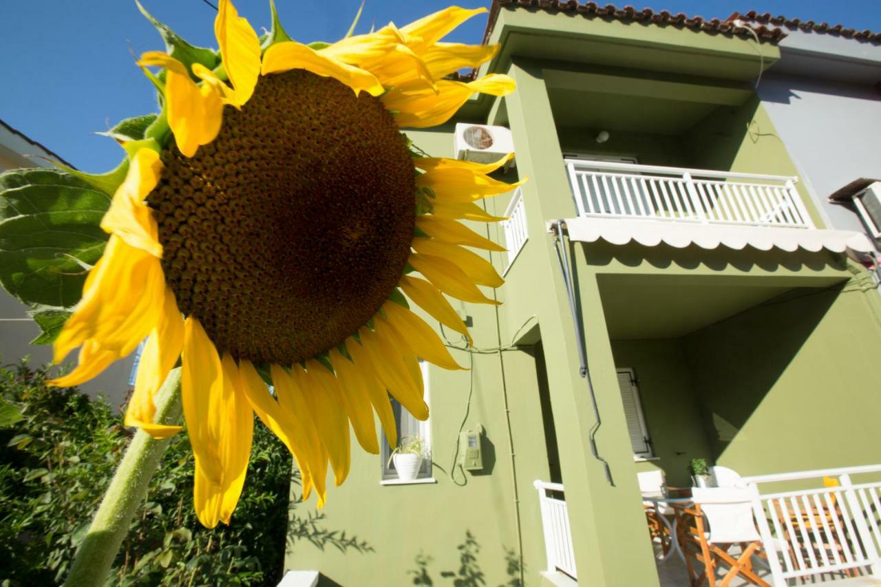 Marietta'S Townhouse Villa Argostoli  Buitenkant foto